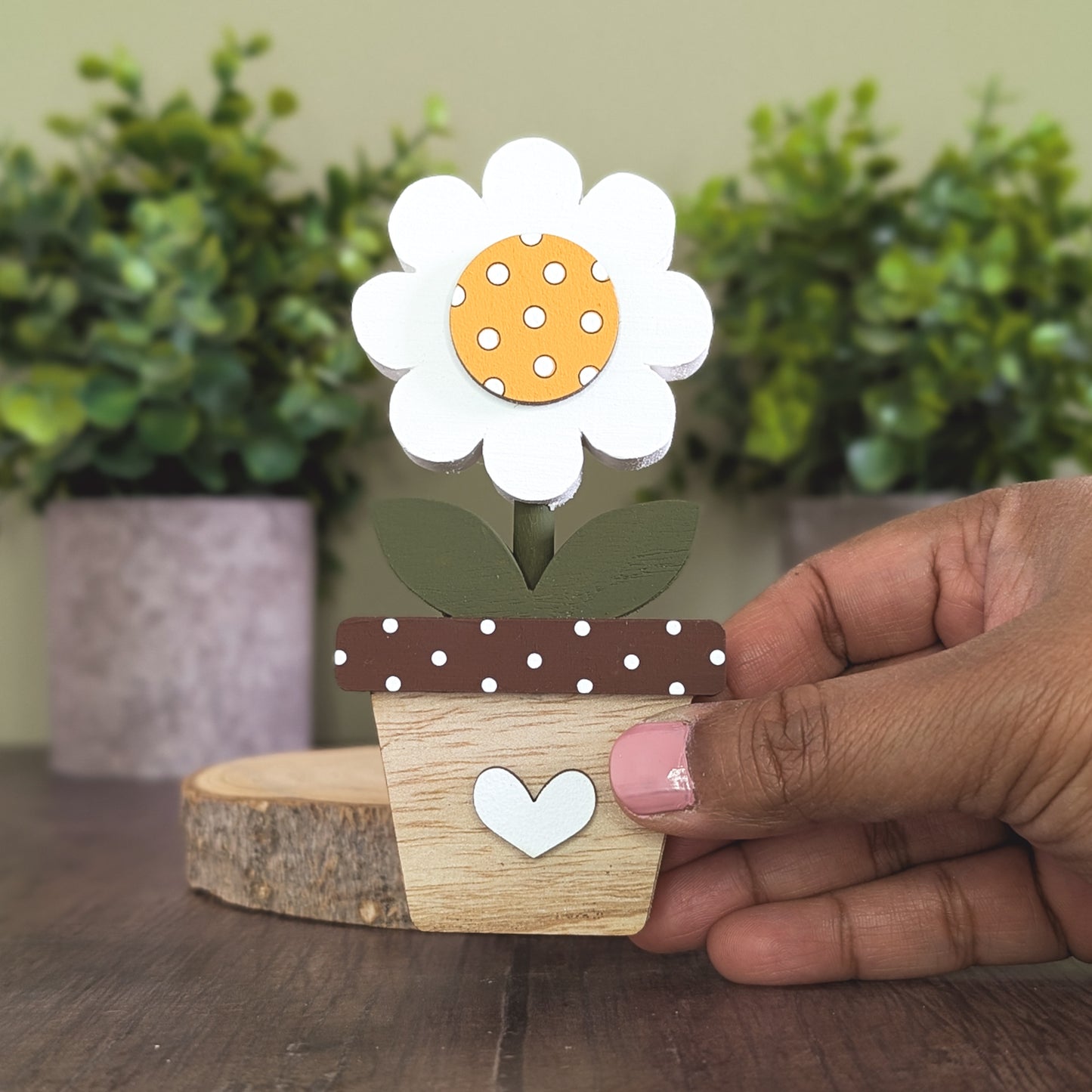 Potted daisy