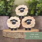 Mini sheep