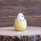 Yellow ghost hatchling 2