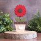 Potted Gerbera