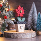 Potted poinsettia