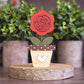 Potted Rose