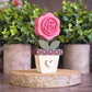 Potted Rose