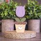 Potted Tulip