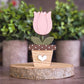 Potted Tulip