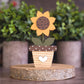 Potted sunflower