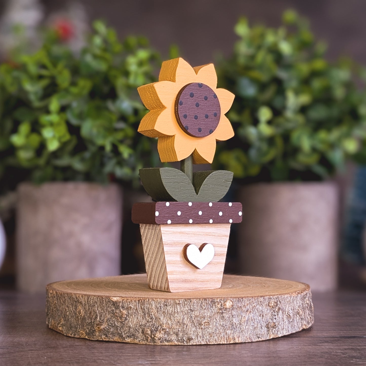 Potted sunflower