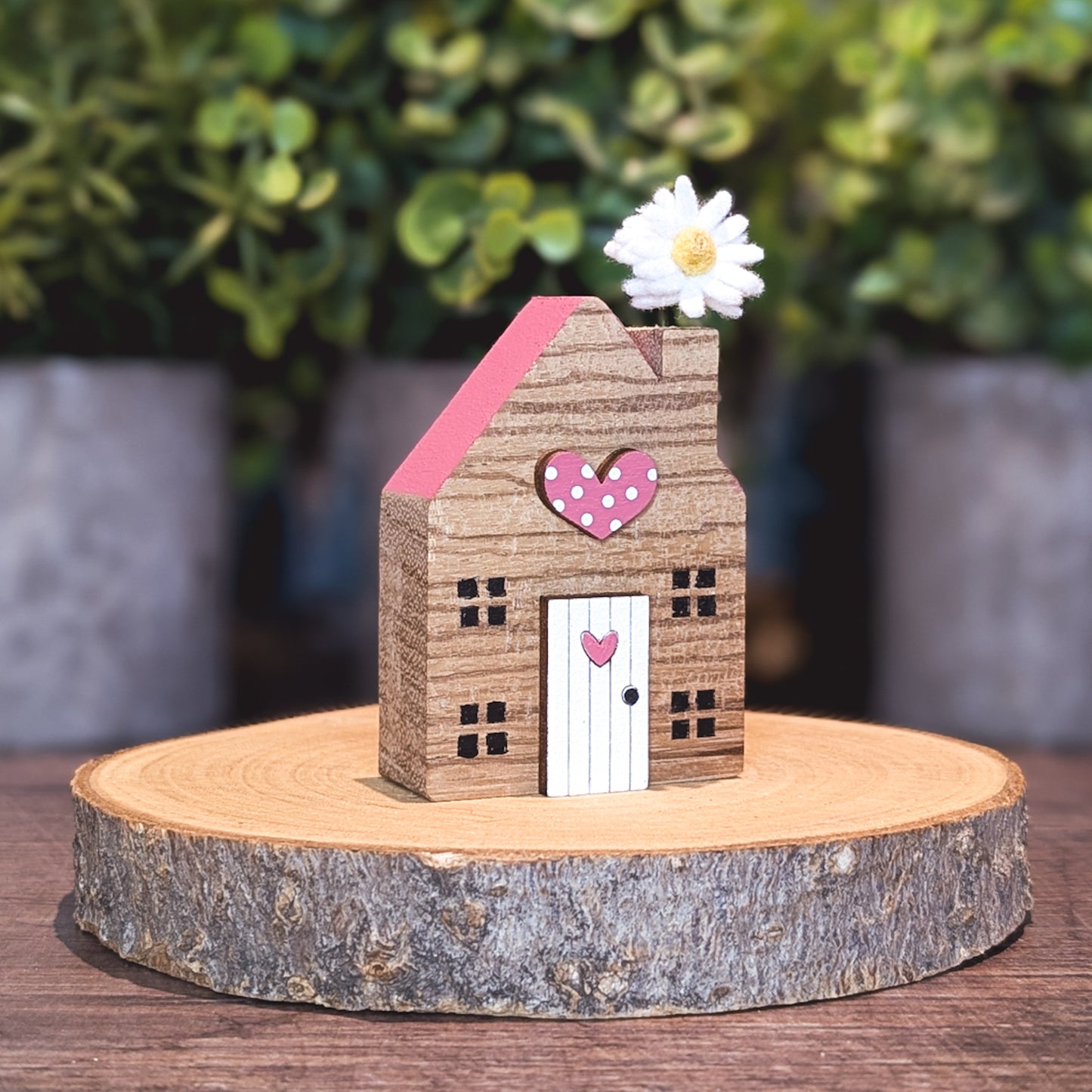 Mini house with daisy