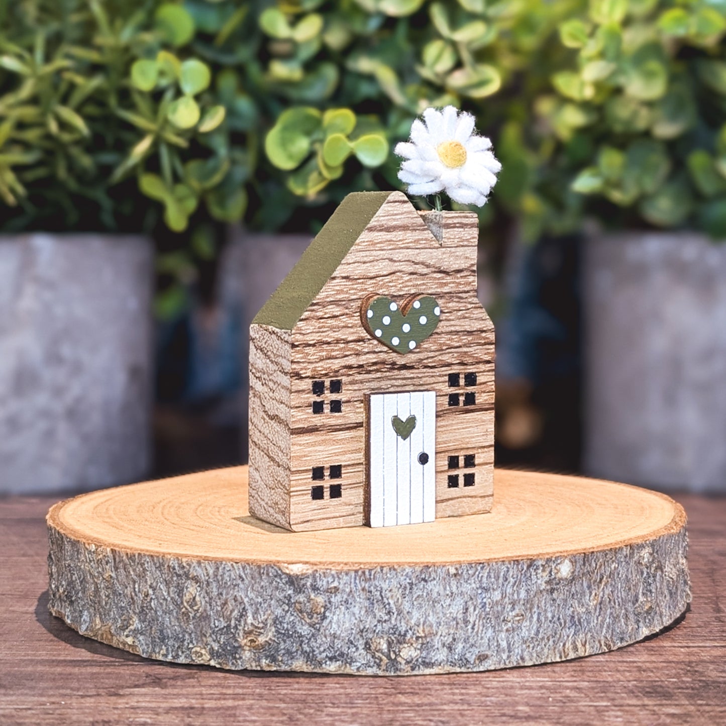 Mini house with daisy