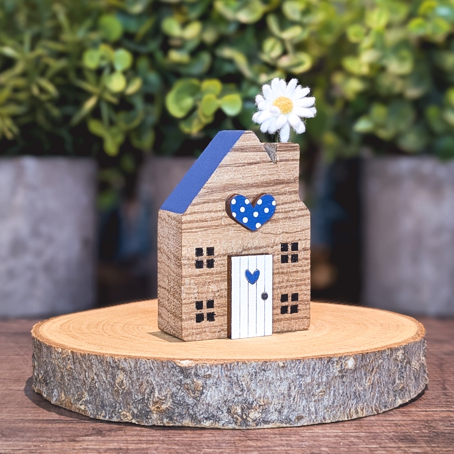 Mini house with daisy