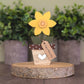 Daffodil - March birth flower