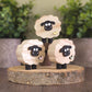 Mini sheep