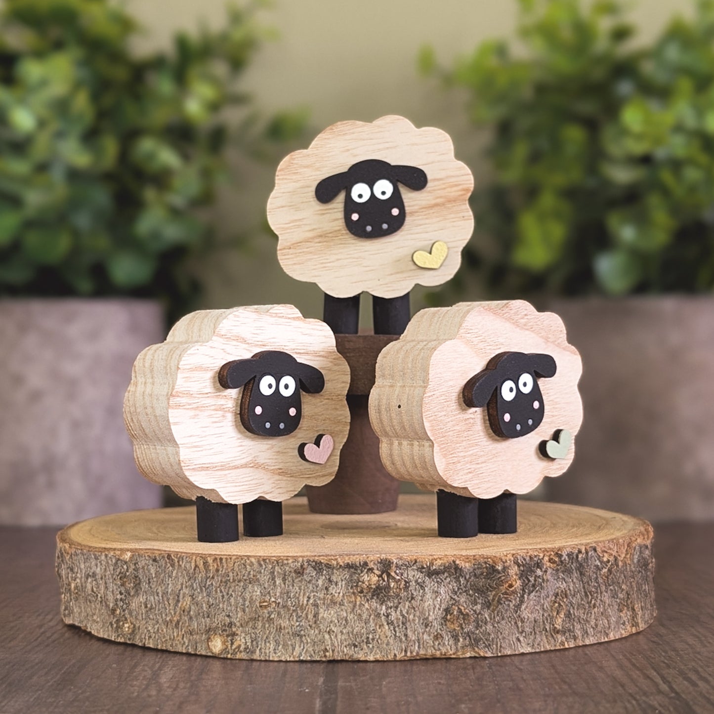 Mini sheep