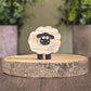 Mini sheep