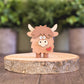 Mini highland cow
