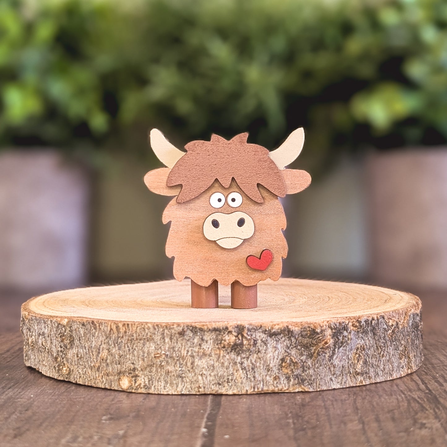 Mini highland cow