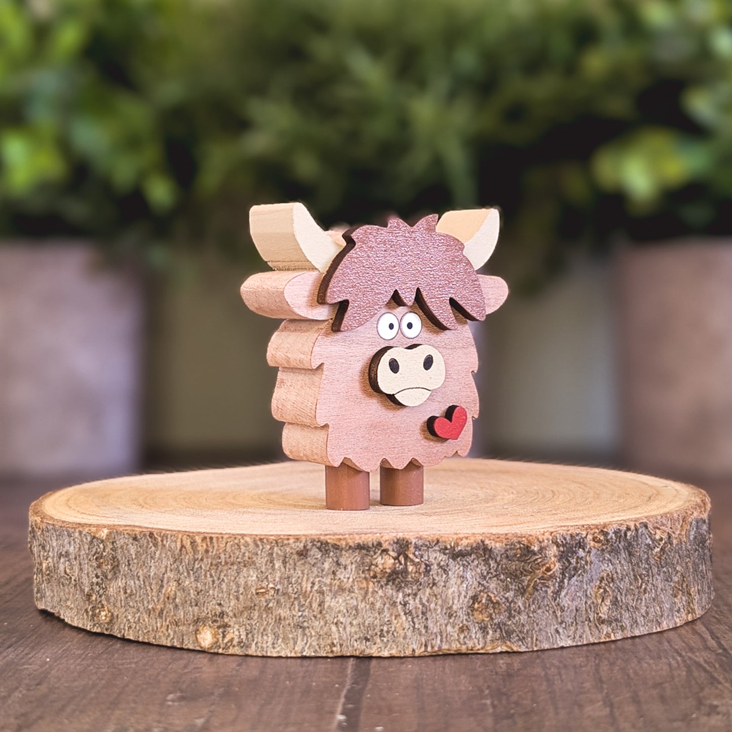 Mini highland cow