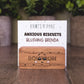 Blushing Brenda bourbon