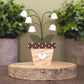 Potted lily of the valley