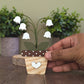 Potted lily of the valley