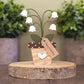 Potted lily of the valley