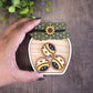 Bee cookies jar