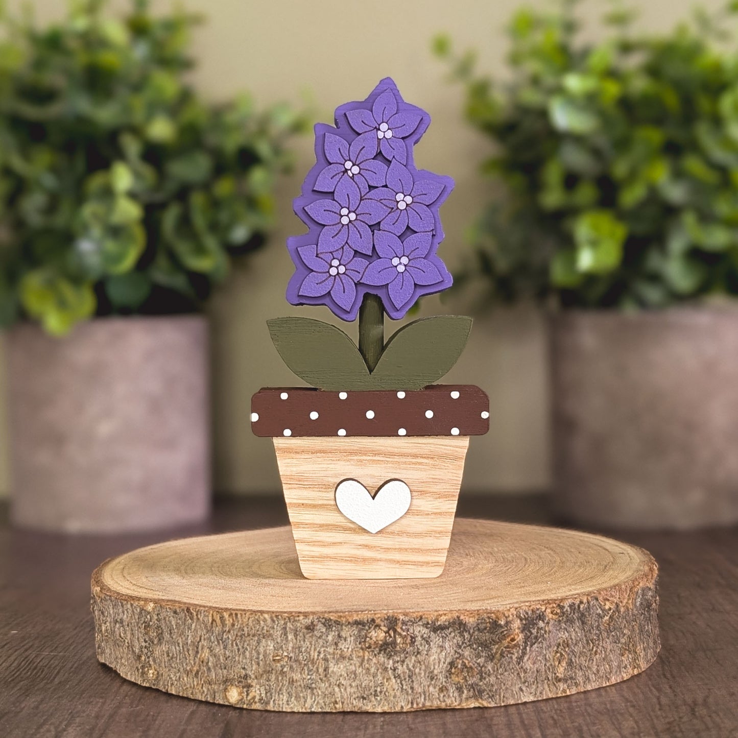 Potted larkspur