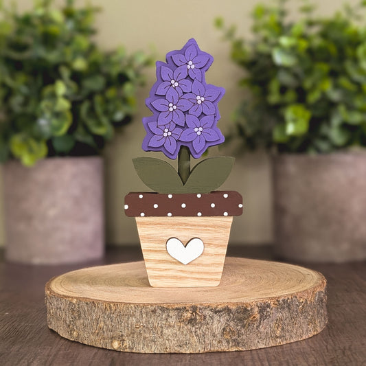 Potted larkspur