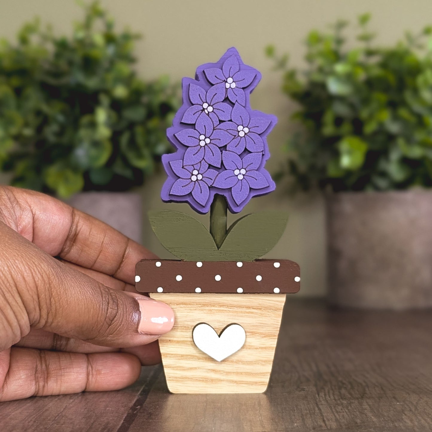 Potted larkspur