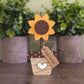 Potted sunflower