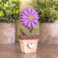 Aster - September birth flower