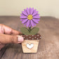 Aster - September birth flower