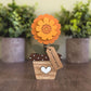 Marigold - October birth flower
